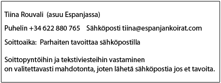 tiedottiina